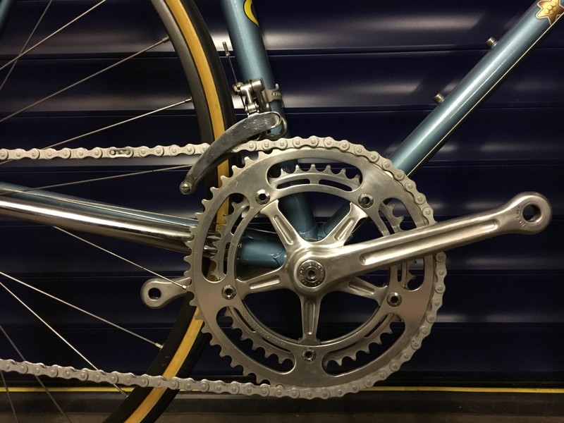 Olmo detail 2