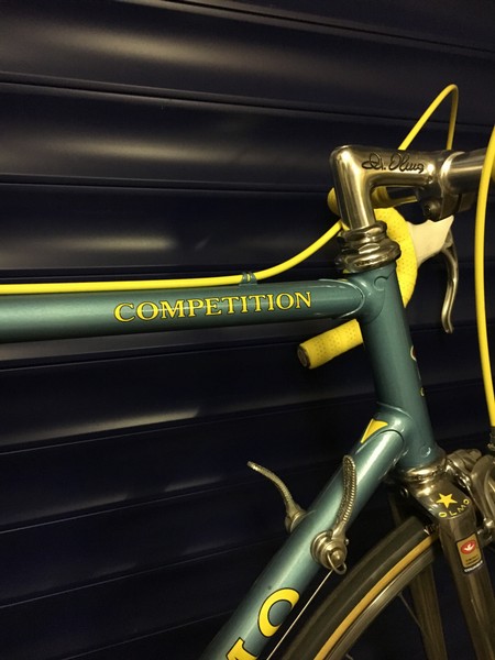 Olmo detail 4
