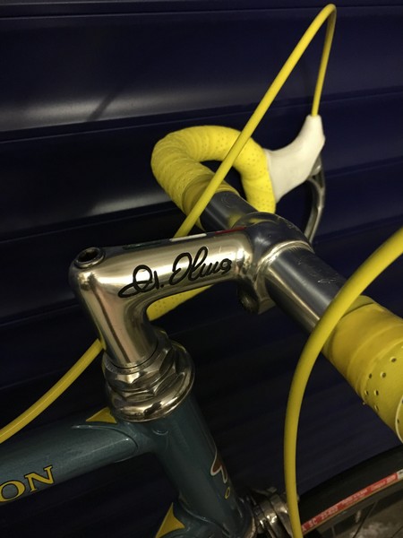 Olmo detail 5