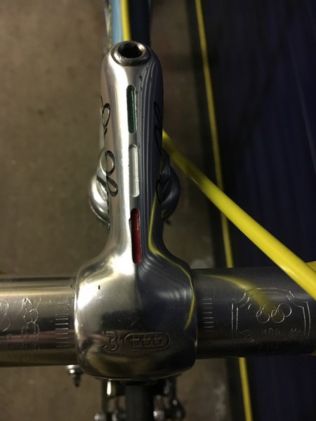 Olmo detail 7